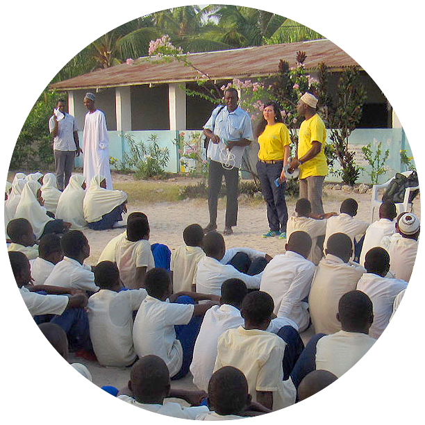 Designed reef related ecosystems impact