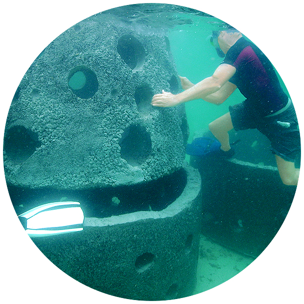 Designed reef related ecosystems